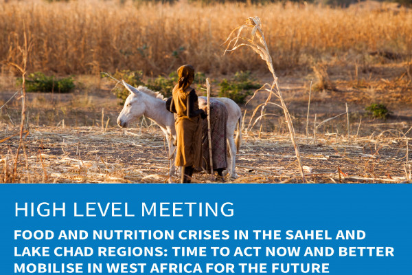 High Level Forum on Nutrition and Food Security in Sahel