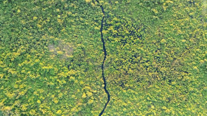 Aerial shot of the Paraguayan Pantanal