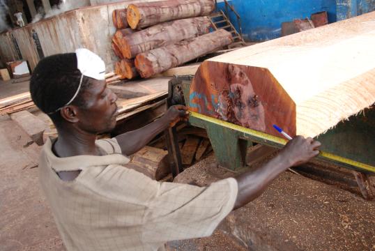 ghana-timber-measuring-flegt.jpg