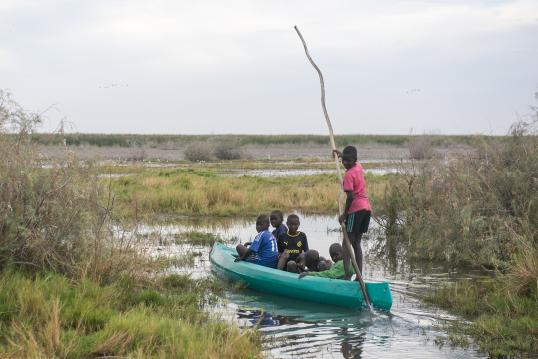 Senegal River Delta