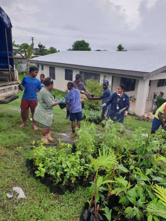 Distribution of of seedlings and planting material, Fiji