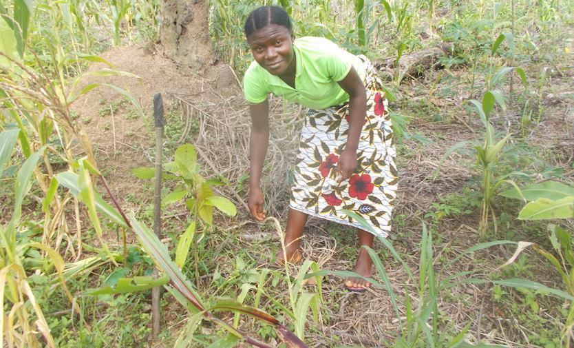 liberia-kebbeh_dolo-cocoa-farmer-solidaridad.jpg