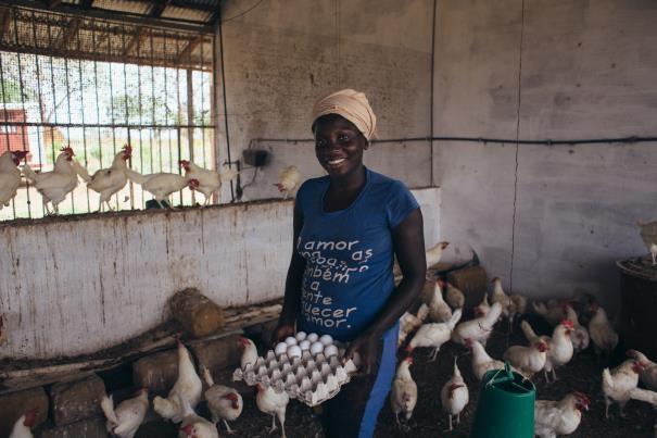 Promoting the poultry sector in Guinea-Bissau