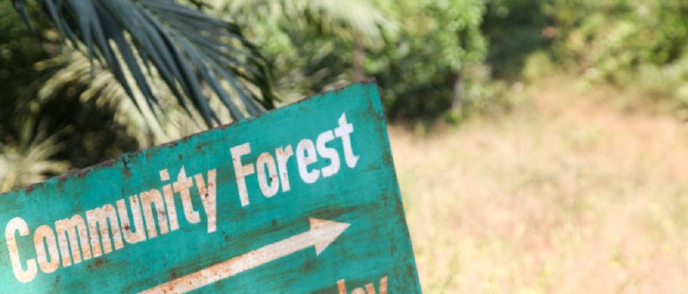 Community Forest Liberia