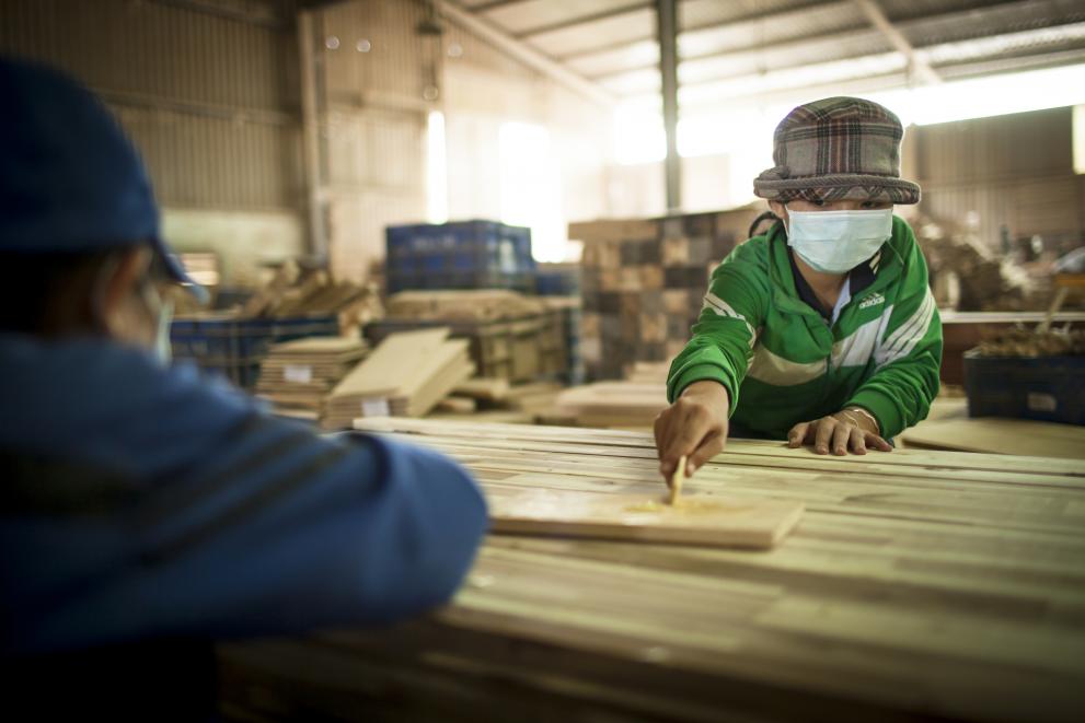 Workers in timber industry Vietnam