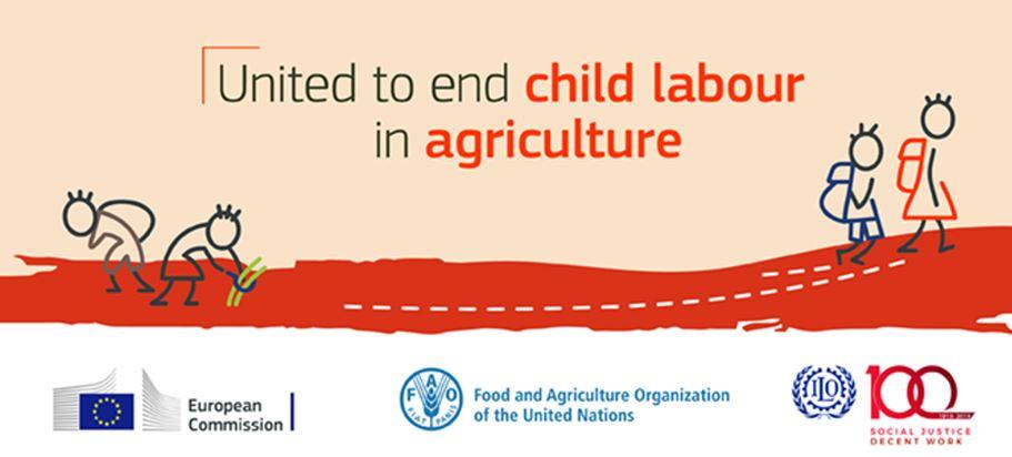 United to End Child Labour in Agriculture