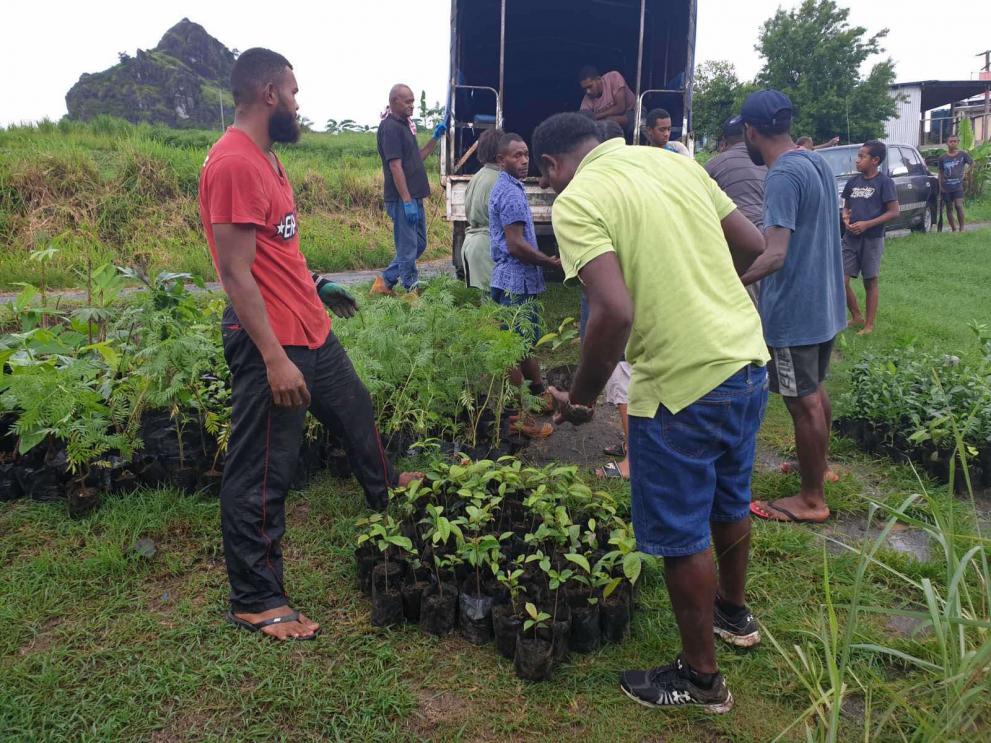Pro-resilient programme distributes seedlings and planting material to Fijian farmers