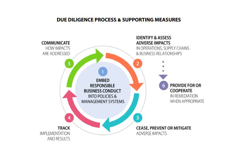 Due Diligence Process & Supporting Measures