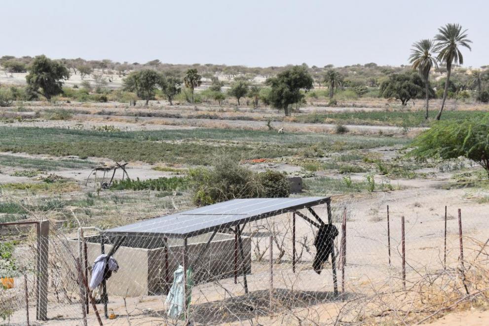 Solar panels provide energy to irrigate the fields, Lake Chad