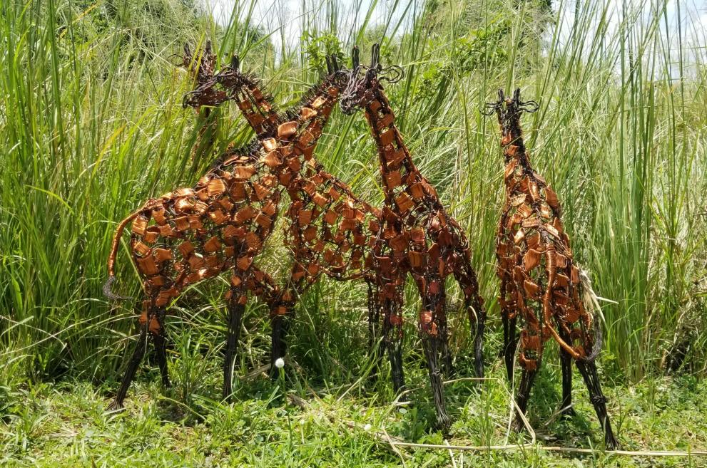Giraffe made of snares