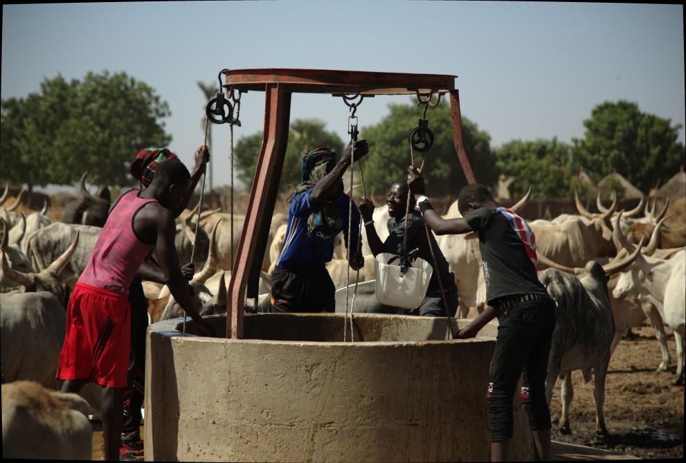 Boys collecting water at a well, Senegal