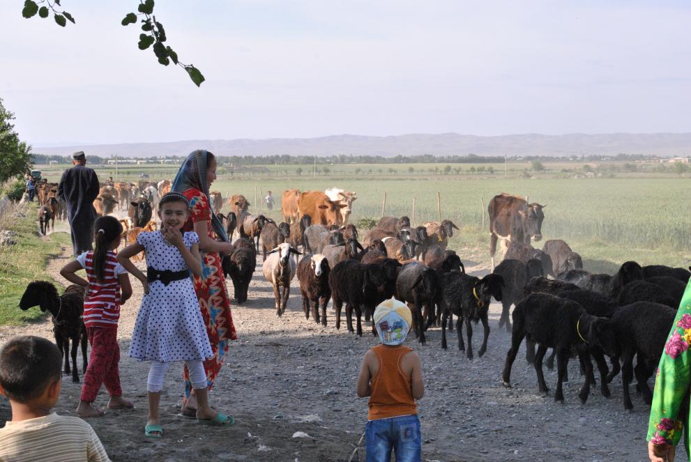 Villagers in Kadriyat, Uzbekistan