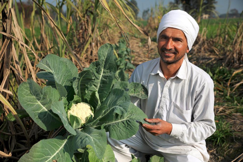 Farmer Karamveer at his farm in Jind