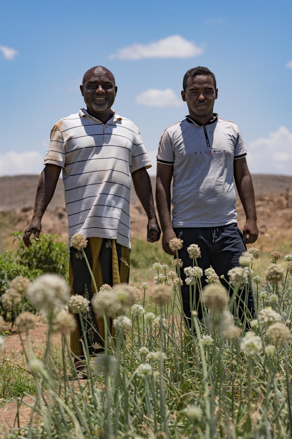 Ali Mohamed Guelleh, et son fils Habib dans un de leurs champs d’oignons