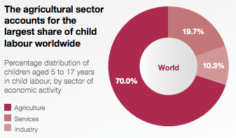 The agricultural sector accounts for the largest share of child labour worldwide