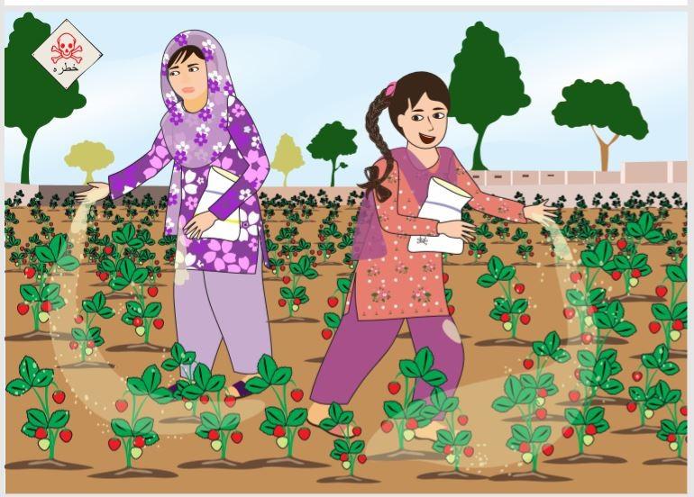 Image from CLEAR Cotton Pesticides Guide Pakistan.