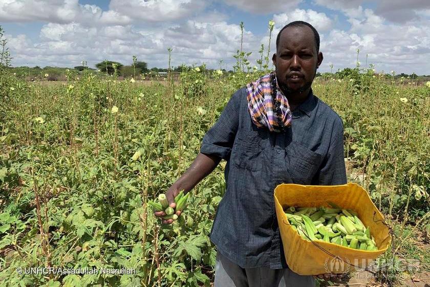 Somali refugee farmer from Kenya in Dadaab camp with his harvest