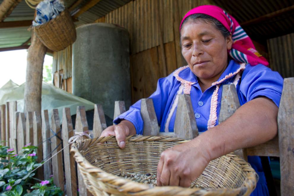 Indigenous lenca woman. Monte Panina, Intibucá, Honduras