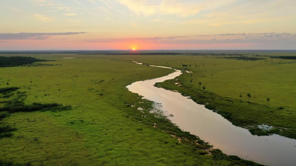 Aerial shot of the Paraguayan Pantanal