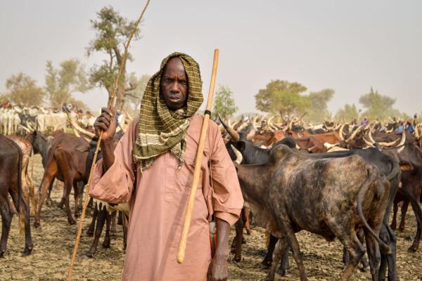 This Lives in Dignity project targets the Tahoua region of Niger, a primarily pastoral zone with a high concentration of animals