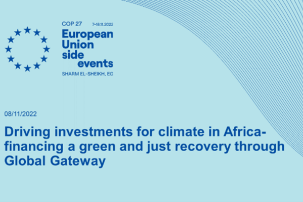 Driving investments for climate in Africa – financing a green and just recovery through Global Gateway