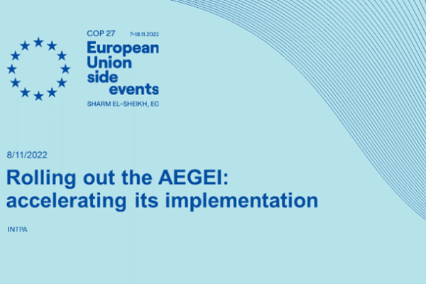 Rolling-out the AEGEI: accelerating its implementation