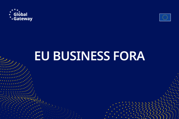 EU Business Fora